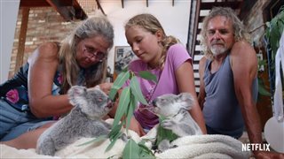 IZZY'S KOALA WORLD Season 1 Trailer