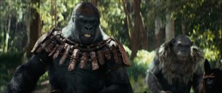 KINGDOM OF THE PLANET OF THE APES Trailer