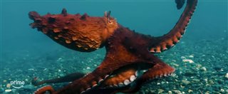 OCTOPUS! Trailer