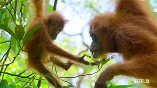 'Our Planet' Trailer