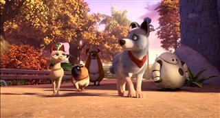 PETS UNITED Trailer