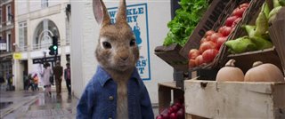 Pierre lapin 2 : Le fugueur - bande-annonce-teaser