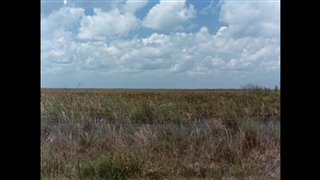 River of Grass