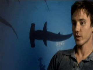 ROB STEWART (SHARKWATER)