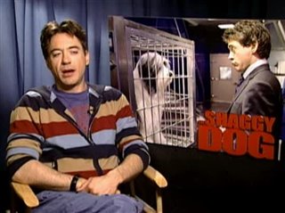 ROBERT DOWNEY, JR. (THE SHAGGY DOG)