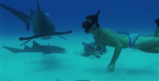 Sharkwater Extinction - Live Stream Announcement