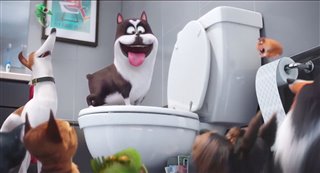 The Secret Life of Pets - Super Bowl TV Spot