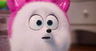 'The Secret Life of Pets 2' - The Gidget Trailer