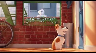 The Secret Life of Pets - Teaser Trailer