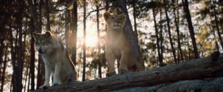 THE WOLF AND THE LION Trailer