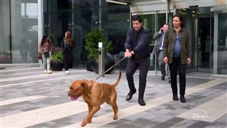 TURNER & HOOCH Trailer